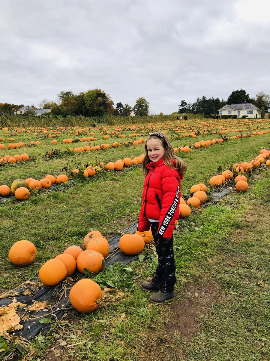Jennikeaveny's tweet photo. Getting ready for the ⁦@StJosephsERC⁩   pumpkin 🎃 patch https://t.co/MNF58Q5fsG