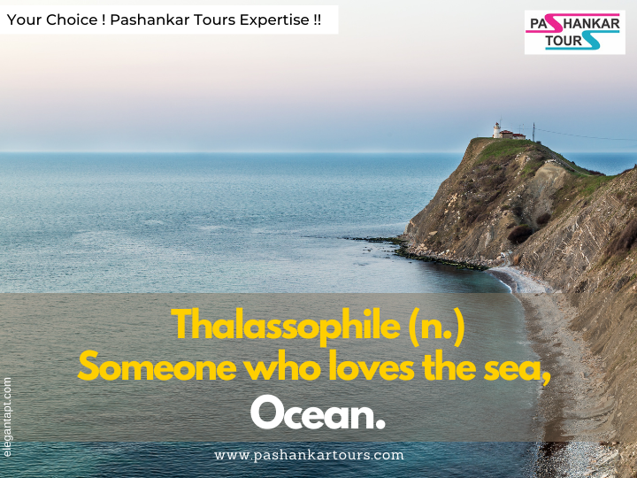 Pashankar Tours tweet media