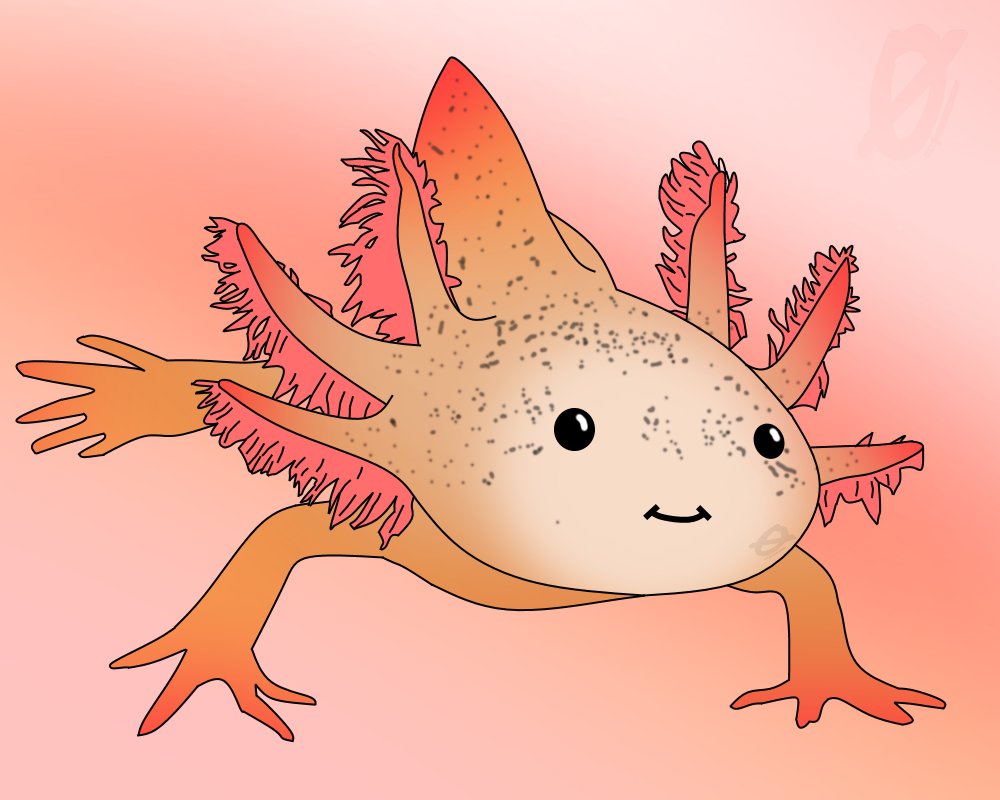DrMaher0's tweet photo. #Axolotl #Minecraft #CaveUpdate #Art #Somethingelseidk https://t.co/UxaALBlK1Q