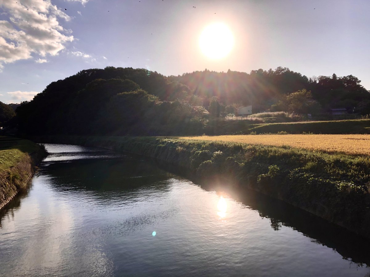 RSumanami's tweet photo. 日差しが綺麗だなぁと思って撮った写真、大体逆光説 https://t.co/7YR1tvKOfb