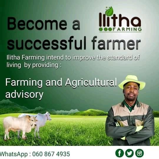 scara2008's tweet photo. @VusiThembekwayo https://t.co/MkU4iUQIpA