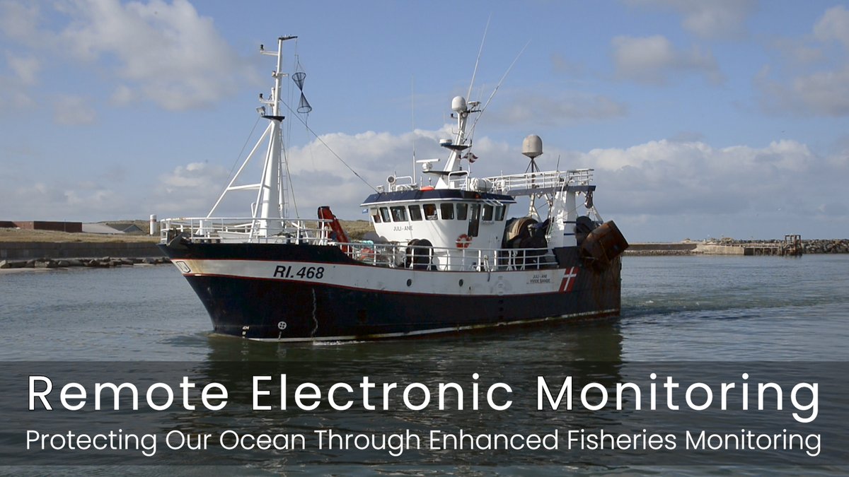 Today, key decision-makers will join our webinar to discuss the rollout of cameras on 🇪🇺 vessels This technology is cost effective, fully tested, &amp; has already gained support from fishers around the 🌏 Let's keep thinking about the benefits of 🎥-based #fisheriescontrol 1/5