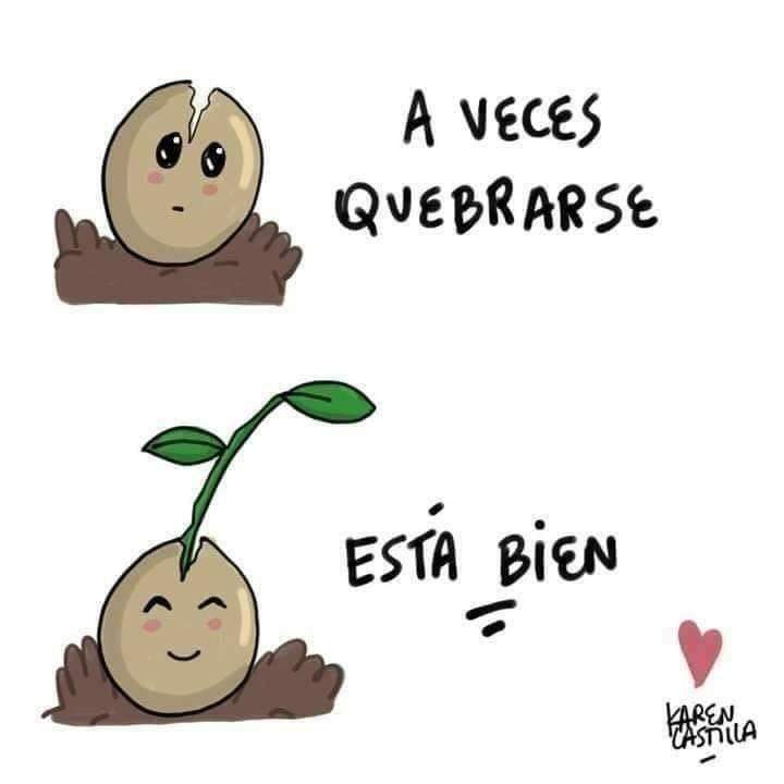 henryantorchas's tweet photo. L@s hij@s de Dios son semillas "sembrad@s" en el mundo para dar Fruto...por lo que en cualquier momento tendrás que quebrarte!!
Mateo 13:38 Juan 12.24
.
#hijosdeDios #semillas #frutos #Posicionate #manifiestate #henryantorchaslorenzo https://t.co/Lag5sqnYx0