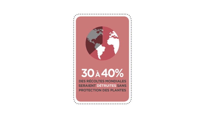 sieclevert's tweet image. La protection des cultures permet de proposer des aliments sains, de qualité et en quantité pour tous. Sans protection, l’équivalent de la conso annuelle de blé des Français serait perdue. 🌾
#JourneeMondialeAlimentation #WorldFoodDay #ceuxquiprotègentlescultures #agriculture