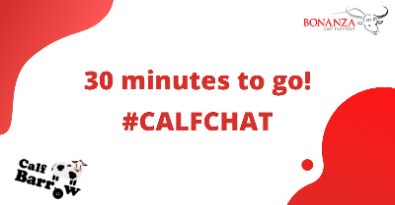CalfChat's tweet photo. ☕ Brew time! ☕ 

We've got just 30 minutes until Tom @calfbarrow takes over @CalfChat for a labour saving special. Grab a brew and join us #CalfChat #CalfBarrow #Agriculture #Farming #Livestock #Calves https://t.co/vxDea1Scvf