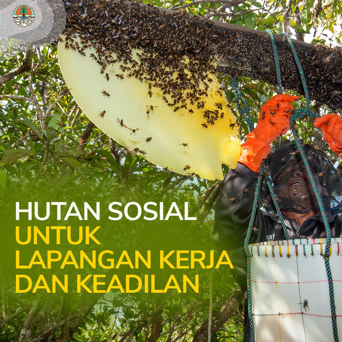 kemenhut_ri's tweet photo. 1. #SobatHijau, diaturnya Perhutanan Sosial dalam UU Cipta Kerja juga merupakan wujud nyata penciptaan lapangan kerja bagi masyarakat.

#OmnibuslawLestari
#CiptaKerja
#KLHK https://t.co/VaQZjKVLku