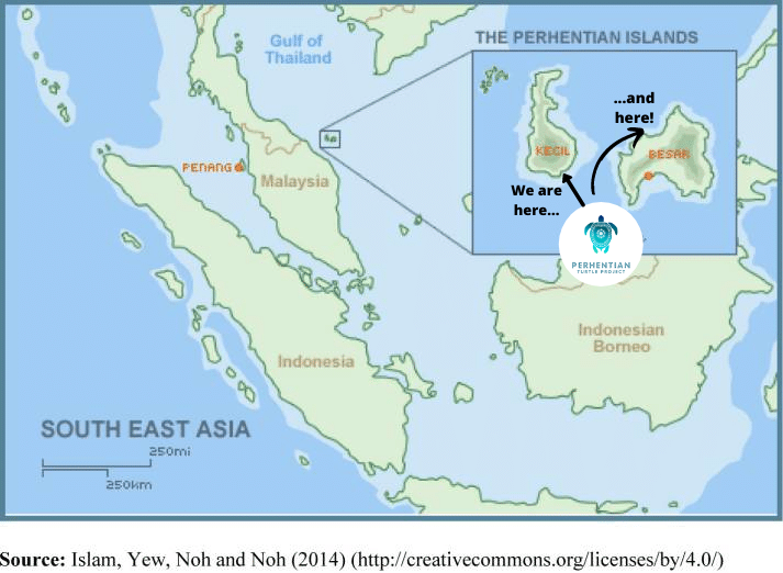 FuzeEcoteer's tweet photo. 1/6 Hello #BDF20TC #ConservationOptimism! We are the #PerhentianTurtleProject, a #SeaTurtle conservation initiative by @FuzeEcoteer. Based in the beautiful #PerhentianIslands, Malaysia, we were established since 2015 to address the lack of the islands' sea turtle population data. https://t.co/mGvx6IoI2E