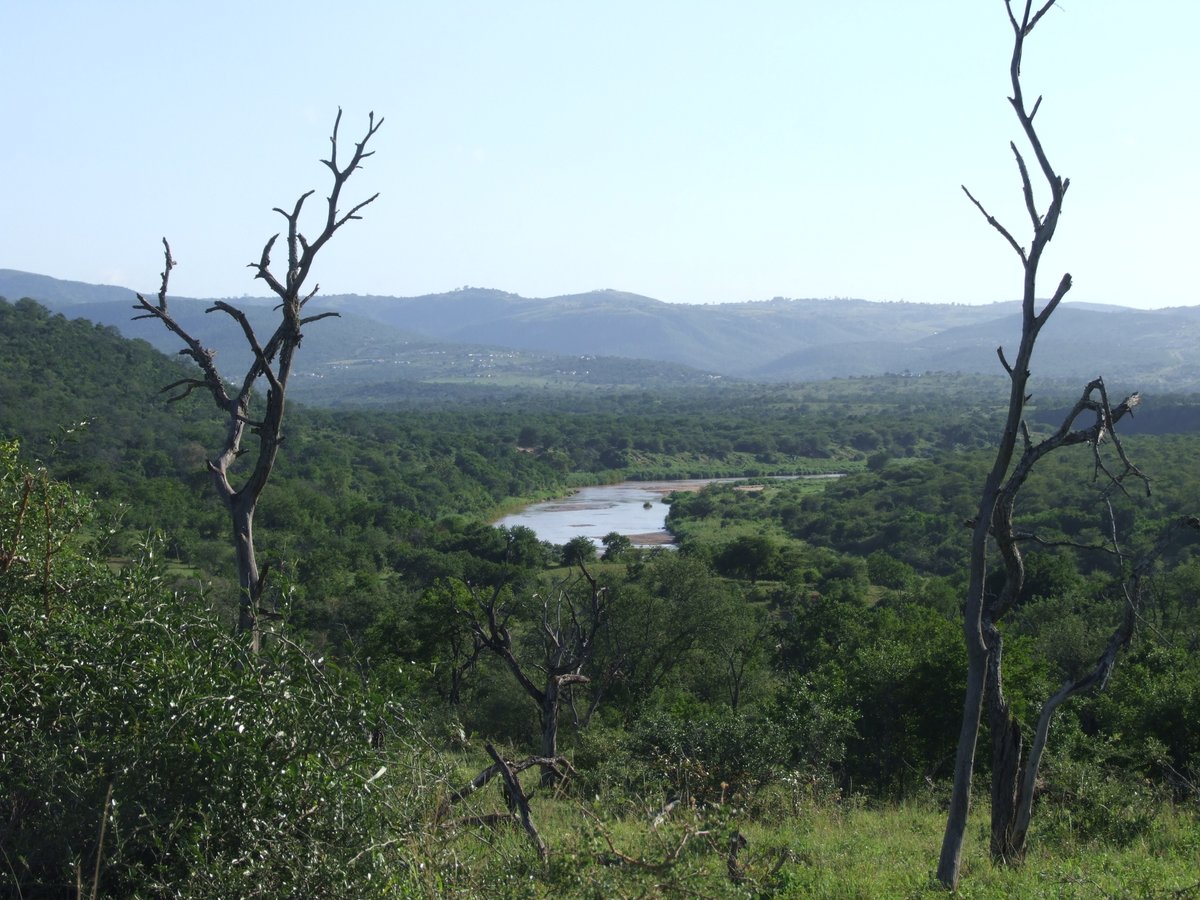 My mind often wanders back to magical places
#ThursdayThoughts #travel #travelblogger #safari #holiday #roadtrip #big5safari #southafrica #adventuretravel #wildlifeholidays #wildlife  #birding #Africa #luxurysafari #budgetsafari #familysafari #travelagent #bucketlisttravel #Zulu