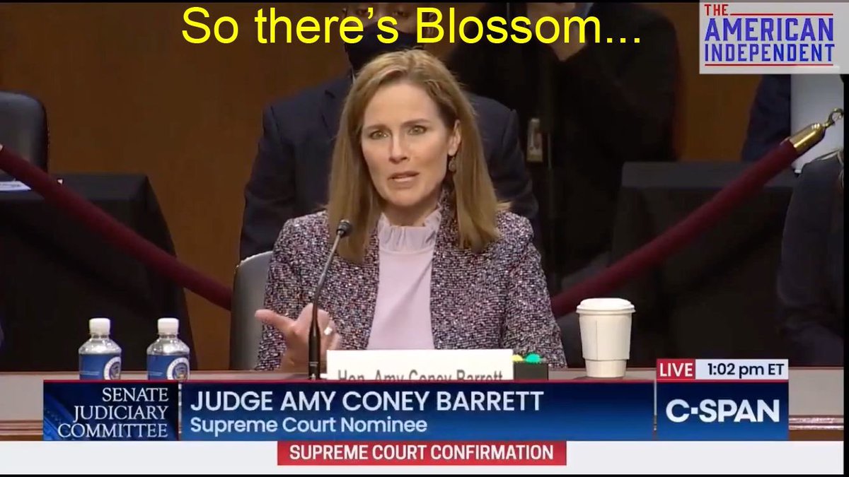 Dubsaveli's tweet image. #NotMyJudge