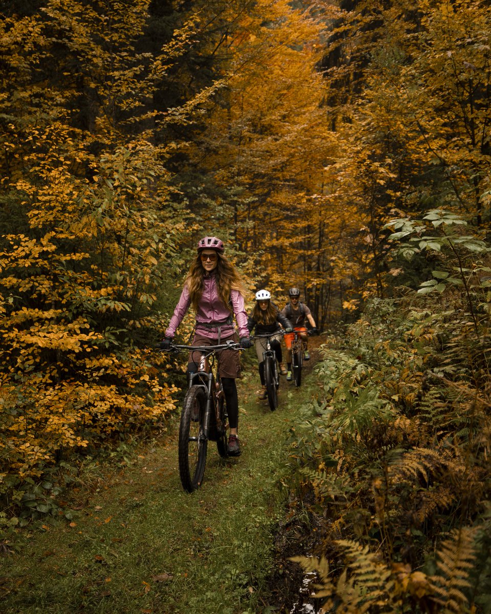 uft_ftv's tweet photo. Notre best of pour un #automne aux #Paccots : parcours #VTT et eVTT balisés 🚵♂️ randonnée pédestre dans une #nature envoutante 🍂 et visite d'un élevage de cervidés https://t.co/qliR41XwId
@STMediaCH #Suisse
📸 TOAST & @MySwitzerland_f https://t.co/JlQcbwtx07