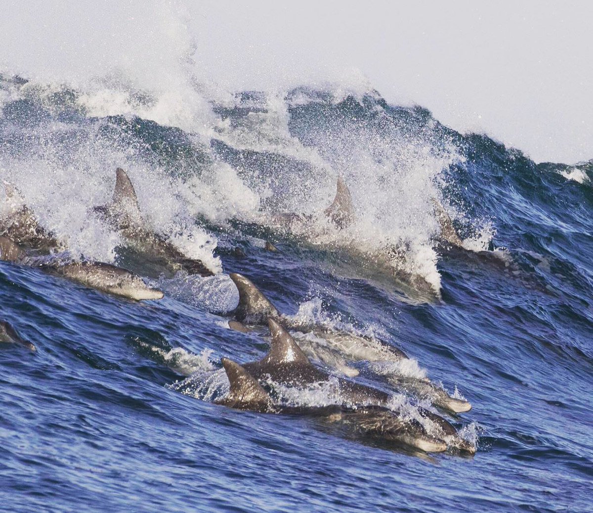 We look forward to seeing solid steps in opening #SouthAfricanTourism once again! There are so many beautiful destinations to be explored and that need our support to grow and flourish in future.

#OpenNotOpen #SouthAfricaisTravelReady #economicrecoveryplan  <a href="/CyrilRamaphosa/">Cyril Ramaphosa 🇿🇦</a>