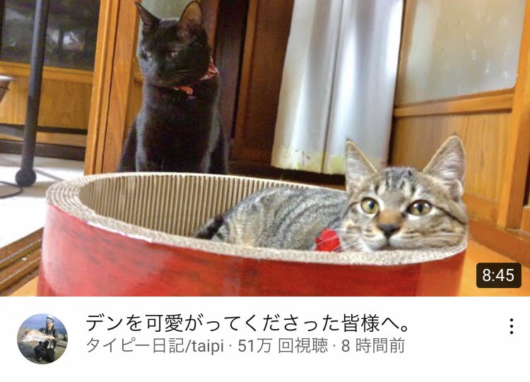 珠 ﾀﾏ tweet media