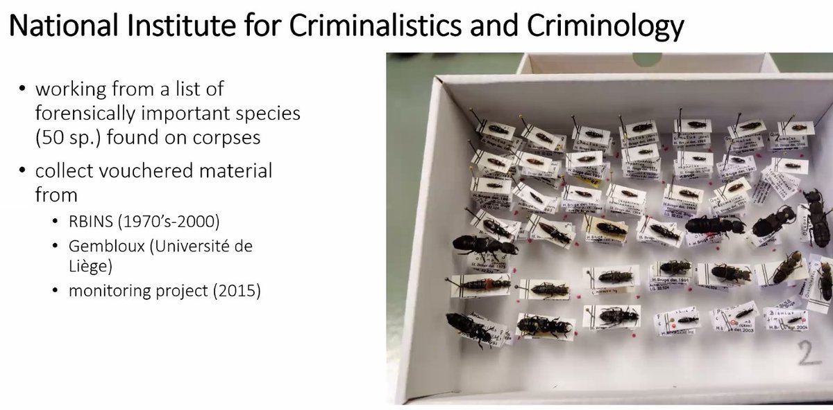 SchepersLennert's tweet photo. A modern 'fauna der lyken', DNA sequenced by #BopCo @RBINSmuseum. @KennyMeganck at the @LifewatchBE user and stakeholder meeting. https://t.co/c9DNvAWAAm
