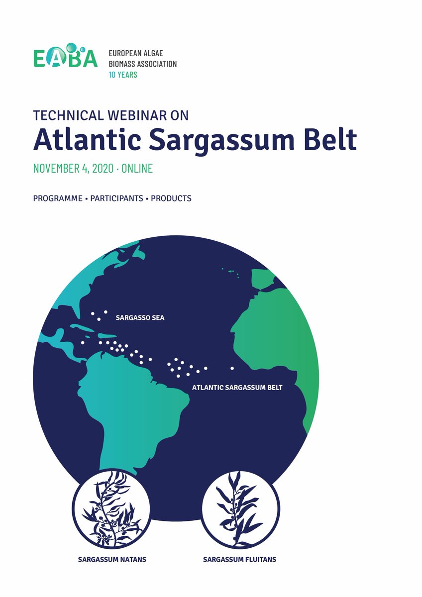 Buildingonevent's tweet photo. Join us when the Atlantic Sargassum Belt is in your scope of activities.

@EABA_Algae 
#sargassum #atlantic #atlanticsargassumbelt #ecology #sustainablesolutions #casestudies #Carribean #biorefinery #alginate #biofertilizer #antiviral #seaweed #animalfeed  #algaeworkshops #algae https://t.co/ETBFCYvI30