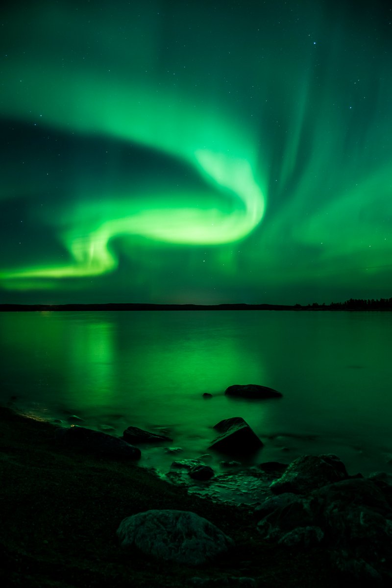 sinnehav's tweet photo. Autumn lights! 💚#aurora #auroraborealis #northernlights #Autumn #nightsofwonder https://t.co/MYl4RZk9ZA