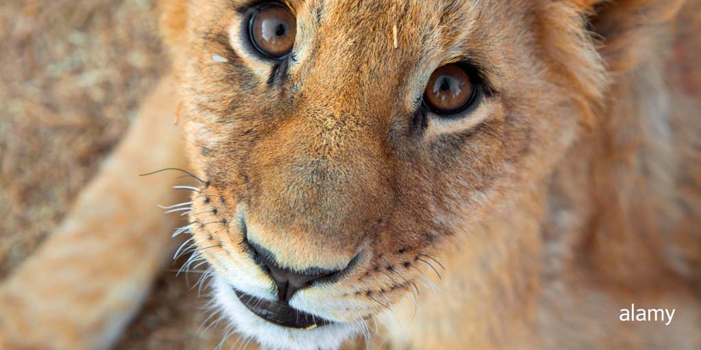 Alamy Content Team tweet media