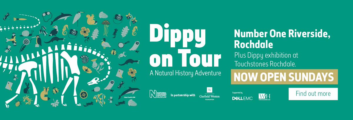 DippyOnTour photo