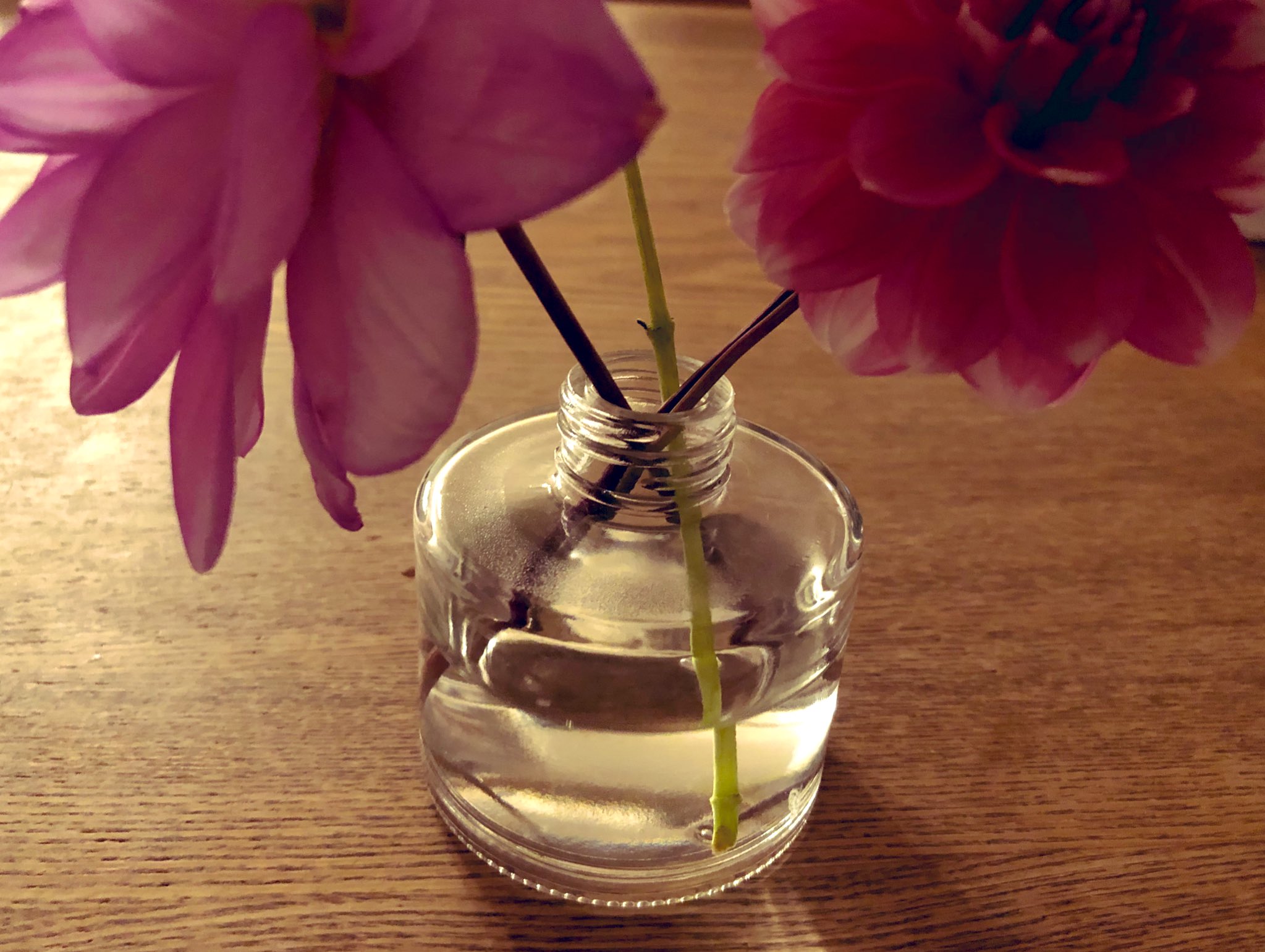 モモヤッコ セリア で買った瓶 とても優秀な花瓶 アルコールランプの瓶の雰囲気もあって好き T Co I4bfpaaehw Twitter