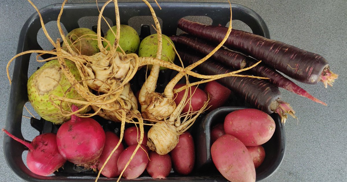 Een deel van het pakket van deze week... #herfstkleuren!