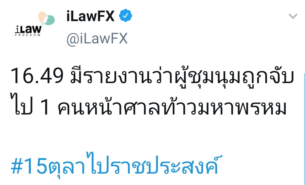 TL tweet media