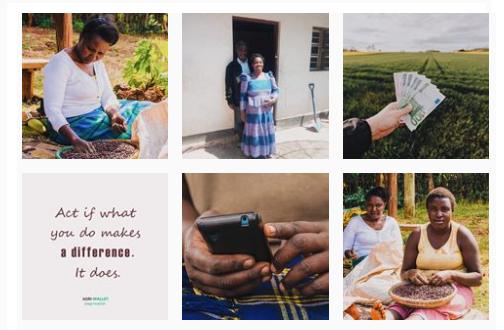 Have you followed #agriwallet on Instagram yet? 📱 Connect with us there, too. 👩🏿‍🌾🙌
> instagram.com/agriwallet/

#DisruptiveAgriTech
#growyourbusiness
#farmersfirst