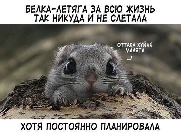 EkXKJNUXcAAkVpv?format=jpg&name=small