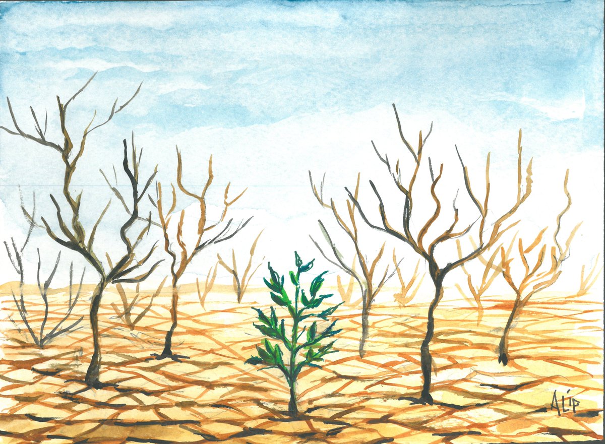 1/ A powerful quote by ~ Dan L. Edmunds, Ed.D. regarding the biomedical framework of MH & why we need to  #dropthedisorder, change our language & begin to develop  #traumainformed approaches moving us to become a  #healingcentered society. Mental health must be about  #socialjustice.