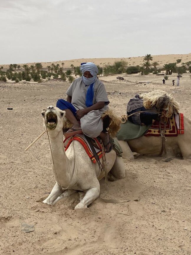 _THEMIIS_'s tweet photo. Dans le cadre du projet #Ghawdat, montée en puissance du groupement nomade en #Mauritanie. #sécurité #développement #financementUE #Themiis https://t.co/Xo0W8pkQS1