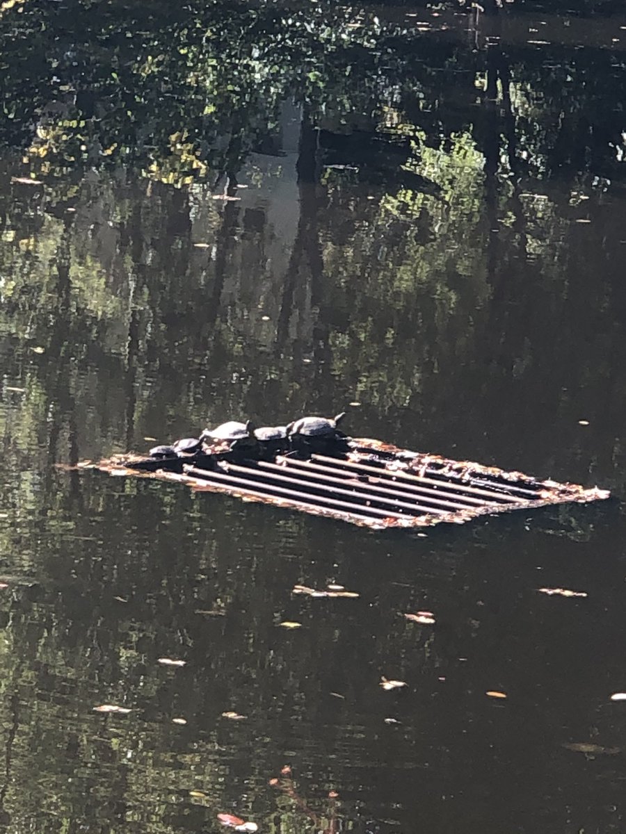 Beautiful day for Walking Wednesday!  <a href="/BonnieBraeES/">Bonnie Brae ES</a> #walktober #walkingwednesday