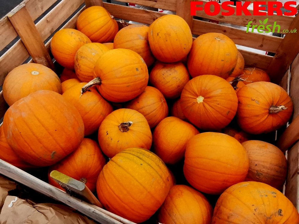FoskersFresh's tweet photo. It’s not even Halloween week and they’re selling left, right and centre!

To meet demand, we’ve received another fresh delivery of English Pumpkins.

#Pumpkin #English #Fresh #Halloween https://t.co/3LWja7qzgr