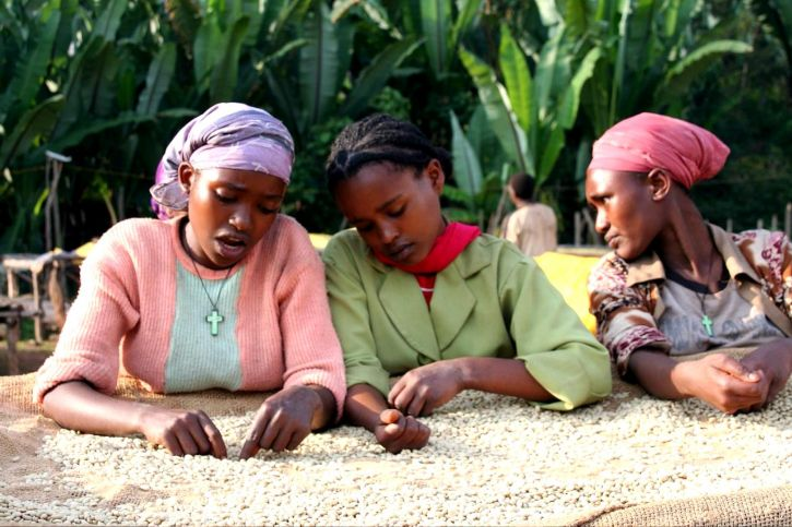 On Int'l #RuralWomensDay, I ask <a href="/UN/">United Nations</a> <a href="/antonioguterres/">António Guterres</a> <a href="/ASteiner/">Achim Steiner</a> <a href="/unicefchief/">Catherine Russell</a> <a href="/WFPChief/">Cindy McCain</a> <a href="/UN_Women/">UN Women</a> <a href="/UNDP/">UN Development</a> to share #10CtsPerCup of coffee, tea &amp; cocoa to end neocolonial trade in supply chain UN institutions. It hurts &amp; enslaves women &amp; children. <a href="/lhariton/">Lorraine Hariton</a> <a href="/TeaLeoni/">曾娜</a> <a href="/lanegrisgt/">Sonia Pérez D. 💚</a> <a href="/cnni/">CNN International</a>