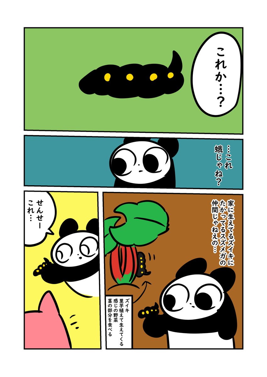 美しい蝶と勘違いhttps://t.co/iQQWfwMzk4

今日のブログ! 