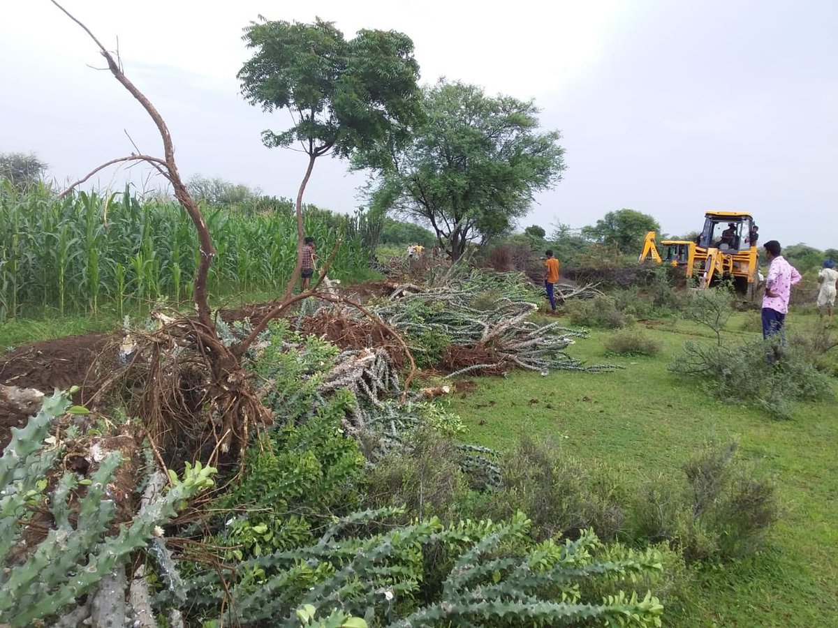 अजमेर संभाग में सुगम्य रास्ता अभियान में 2500 से अधिक रास्ते खुलवाए गए हैं  <a href="/drarushimalik/">Dr.Arushi Malik IAS</a> के निर्देशानुसार रास्ता खोलो अभियान के तहत भीलवाडा उपखंड मांडल ,पंचायत लेसवा के नाहरगढ़  में लगभग 50 बीघा चारागाह भूमि से अतिक्रमण सर्वसम्मति से खुलवाया,ग्रामीणों को हुई सुविधा<a href="/RajCMO/">CMO Rajasthan</a>