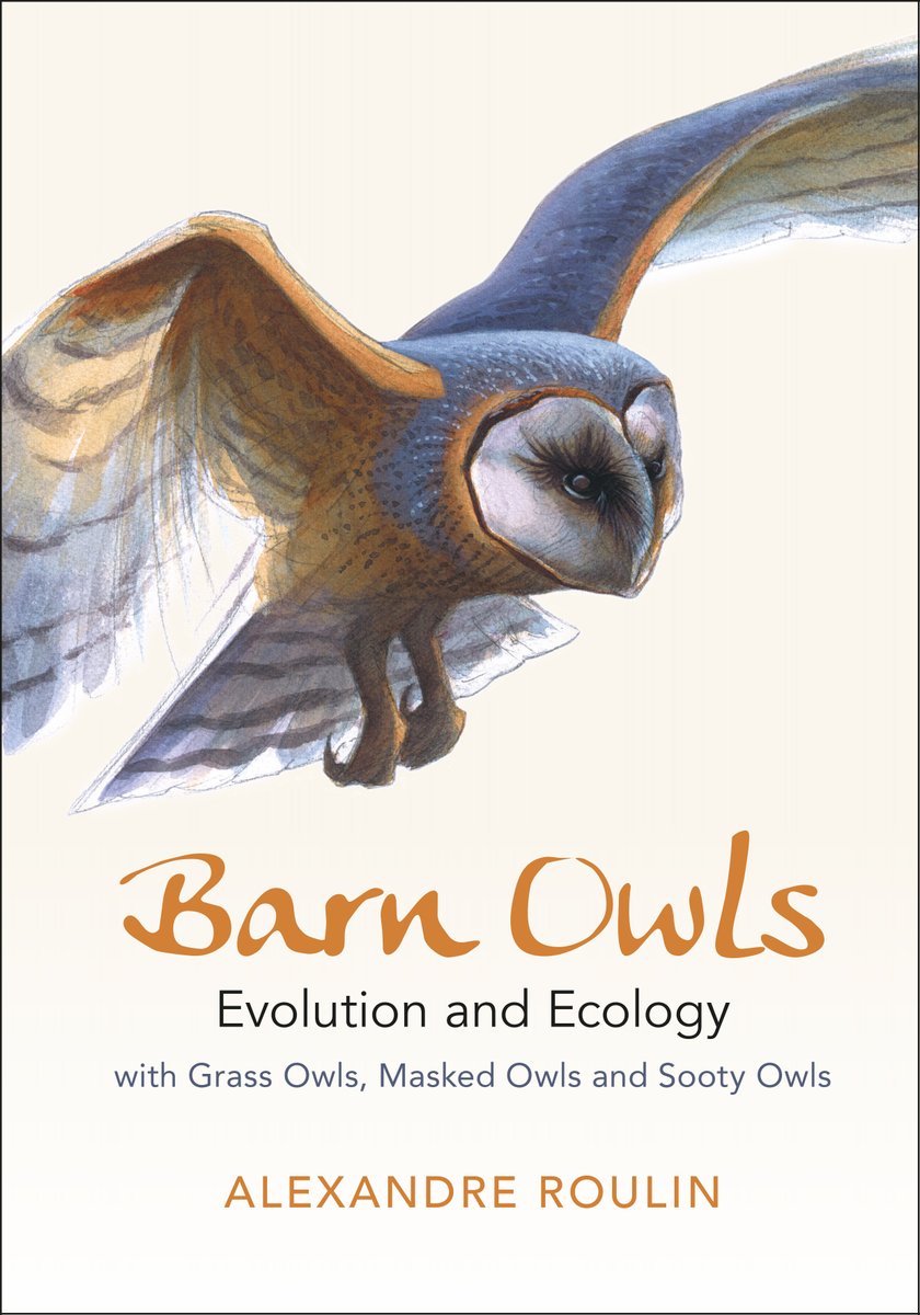 owlroulin's tweet photo. New book on the Barn Owl at Cambridge University Press. Illustrated with marvelous paintings by Laurent Willenegger. https://t.co/QXLEvrk2gZ