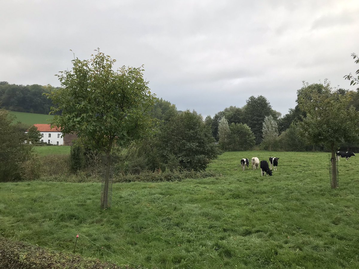 Martin1960's tweet photo. Door het #Gulpdal, tussen #Beutenaken en #Pesaken... 😎🚴‍♀️☁️☁️☁️ https://t.co/JP6xKkRROt