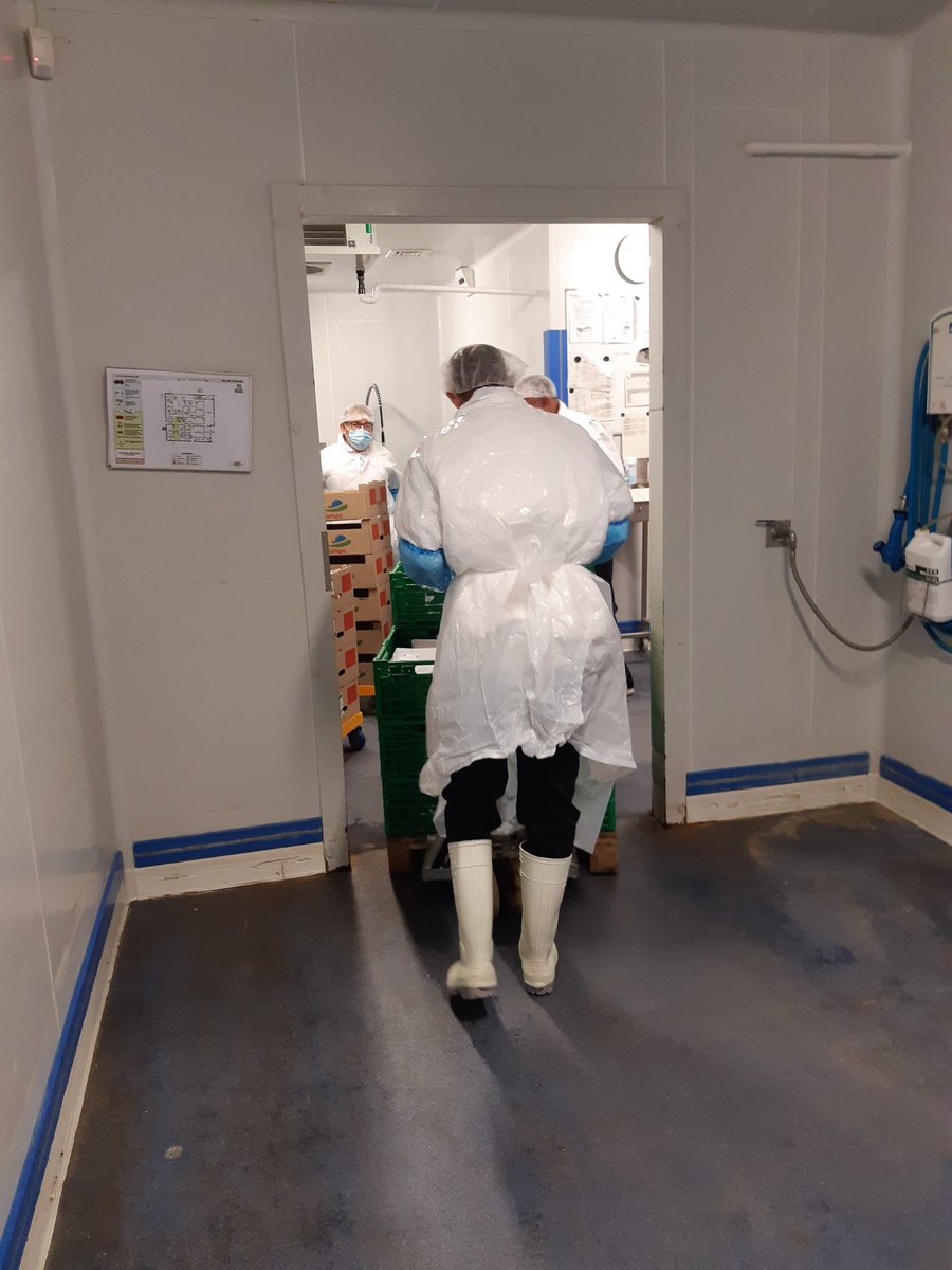 Visite et échanges ce matin avec les agents de la cuisine centrale de #Rennes. Un personnel impliqué pour des repas de qualité et une volonté  commune de diversifier les aliments, intégrer plus de produits locaux et bio. #DemocratieAlimentaire