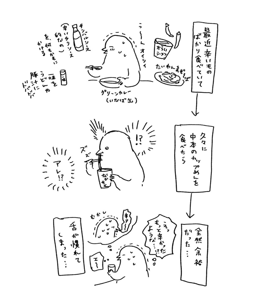 辛いものを食べる毎日(どうでも良い日記) 