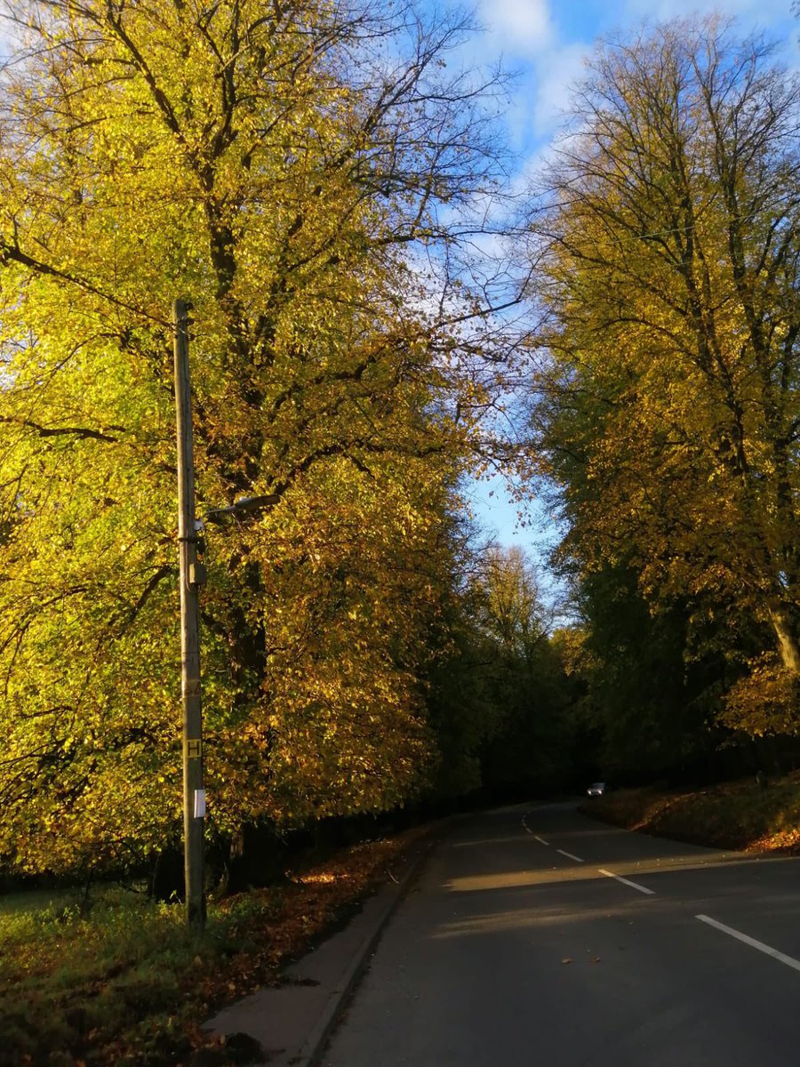 Deanfield Guest Accommodation tweet media