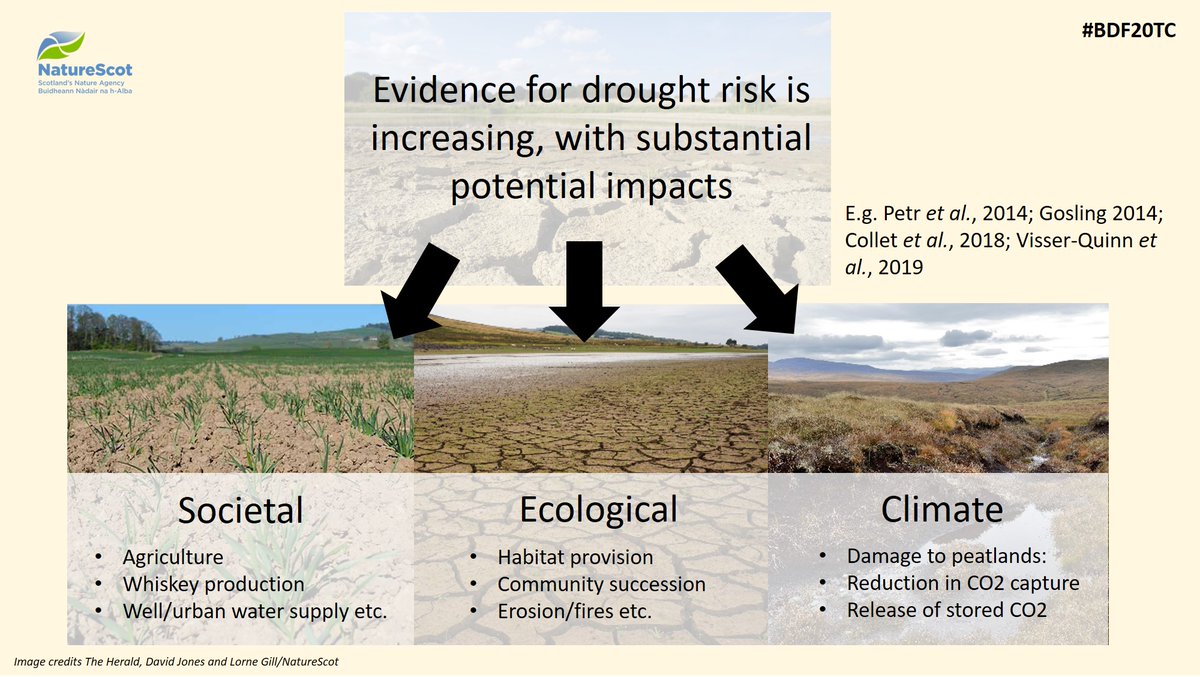 Ecological Succession Worksheet - Understanding Primary and Secondary  Succession - Studocu, image size:1200x677