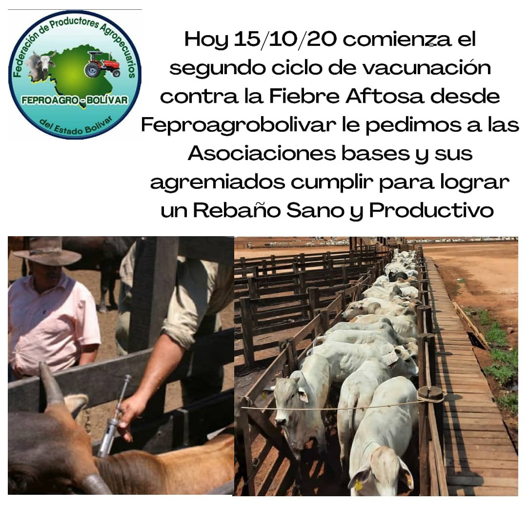 FEPROAGRO BOLIVAR tweet media