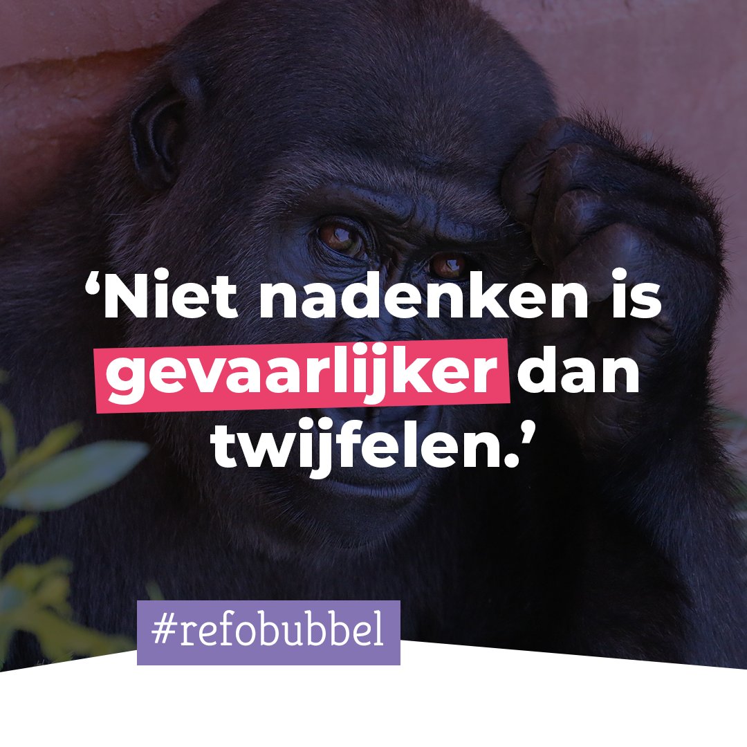 CommunityBasic's tweet image. Als je jarenlang in een refobubbel leeft, kun je gaan denken dat het Evangelie iets ‘normaals’ is. Maar hoe normaal is het om te geloven in een God die mens wordt?