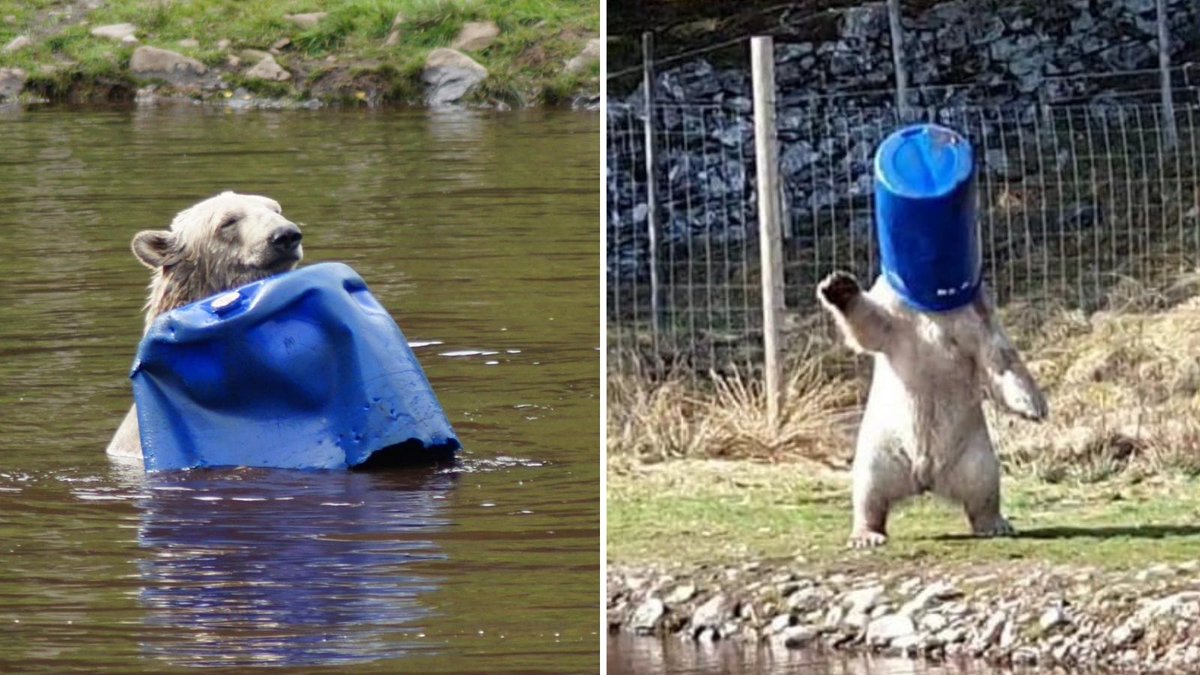 How it started               How it's going