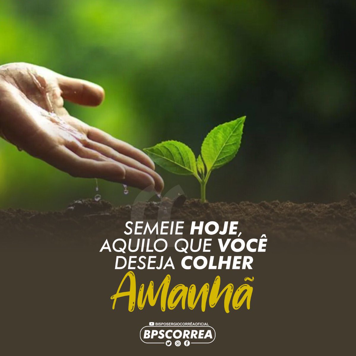 Bispo Sergio Correa tweet media