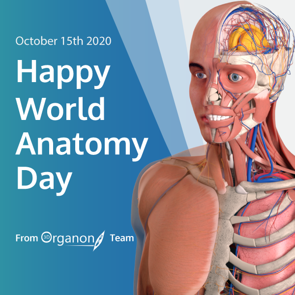 3Dorganon's tweet photo. HAPPY WORLD ANATOMY DAY! We celebrate all the anatomical advances that have taken place and more that are on the way. Learn more on how #3DOrganon transforms Anatomy Education at https://t.co/9sO9gBgVLJ!
#WorldAnatomyDay #MedEd #AnatomyEd #AnatomyOrg #AACAnatomy #ANZACA #anat_soc https://t.co/Cw49HBG8Tq