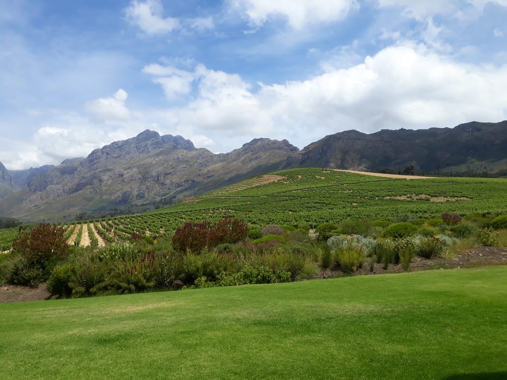 Karin Mücke tweet media