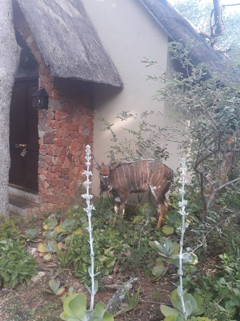 Karin Mücke tweet media