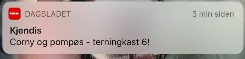 Kort om meg: