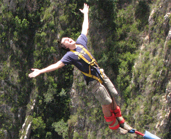 Cape to Addo Safaris tweet media