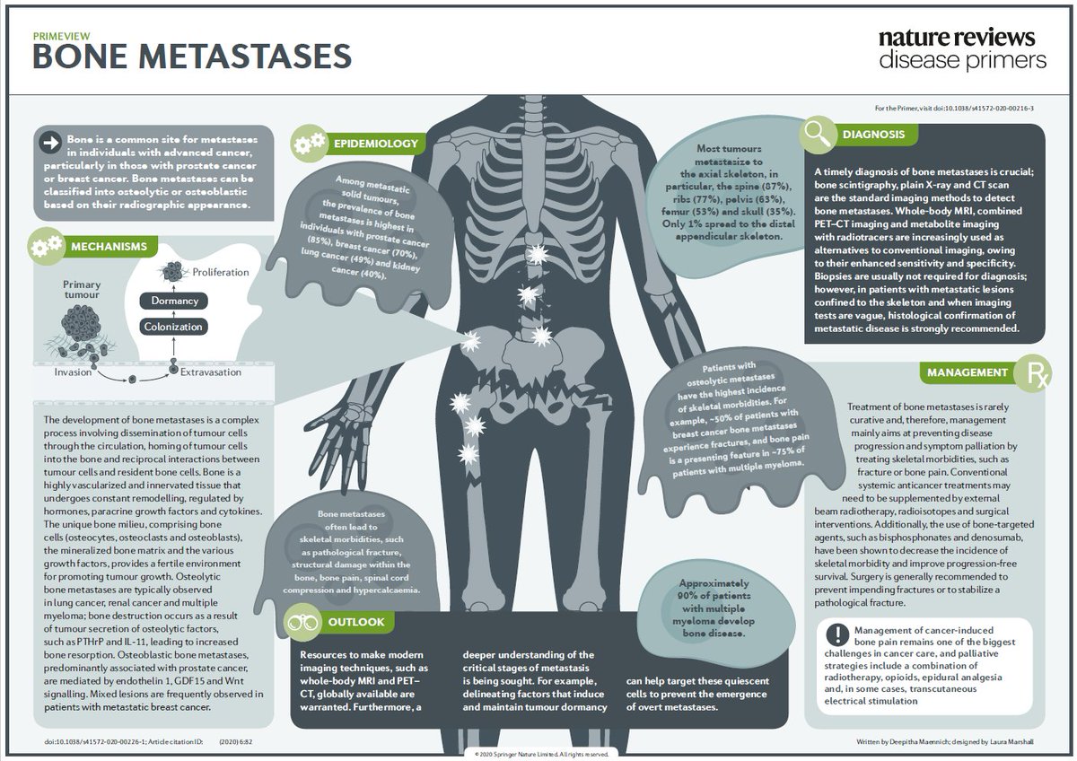 Nature reviews. Bone metastasis statistics. Deasise Bone. Анатомические факторы риска и их оценка Bone Misch.