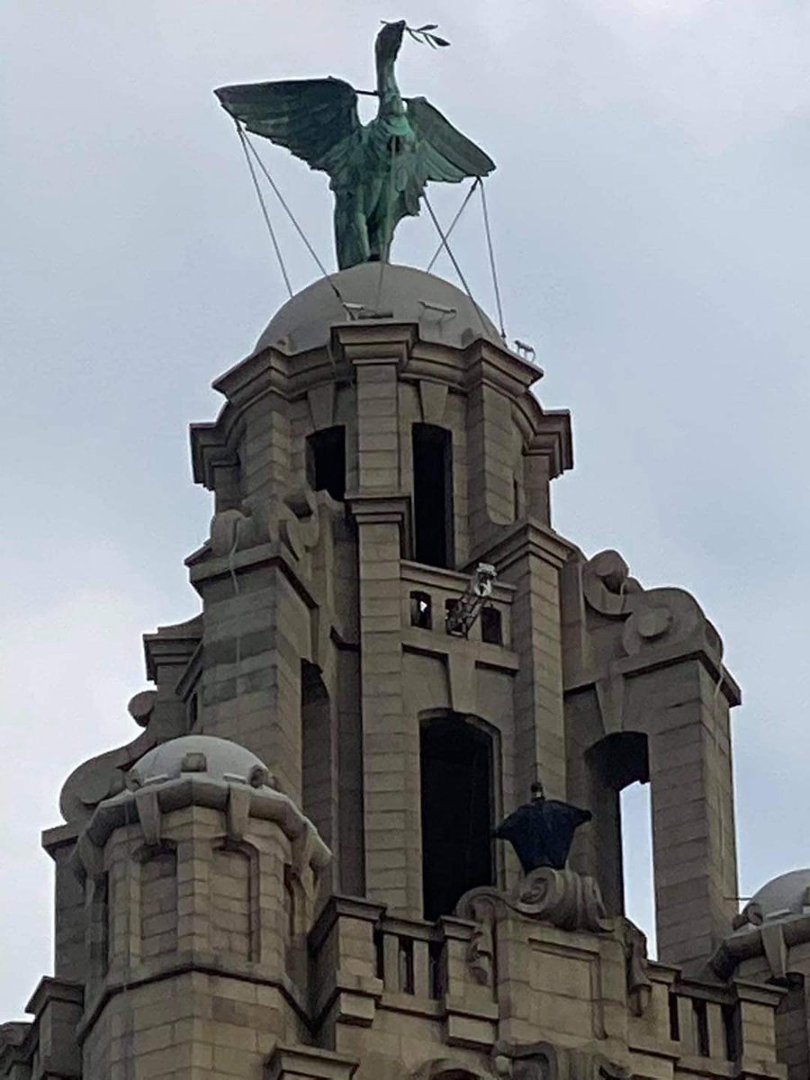 When that joker boris locks liverpool down this fella turns up. #TheBatman #Liverpool #LiverBuildings #BorisTheJoker